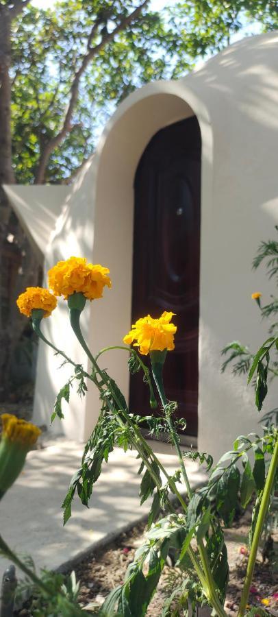 Hostel Done Right Phumi Chrouy Svay Zewnętrze zdjęcie